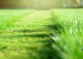 Smart Mowing Tips for a Lush, Green Lawn- Big League Lawns