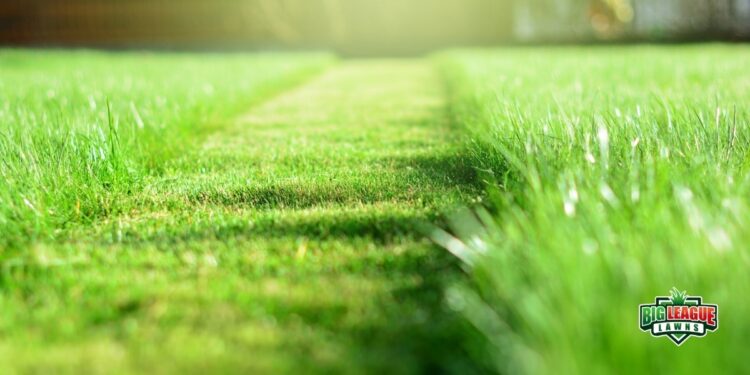 Smart Mowing Tips for a Lush, Green Lawn- Big League Lawns