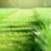 Smart Mowing Tips for a Lush, Green Lawn- Big League Lawns