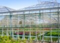 Optimizing Commercial Greenhouse Operations for Winter | Hummert ...