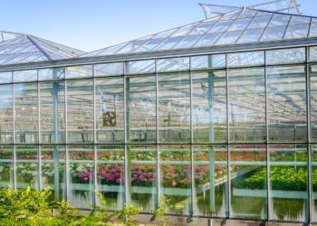 Optimizing Commercial Greenhouse Operations for Winter | Hummert ...