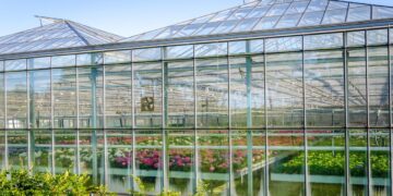 Optimizing Commercial Greenhouse Operations for Winter | Hummert ...
