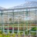 Optimizing Commercial Greenhouse Operations for Winter | Hummert ...